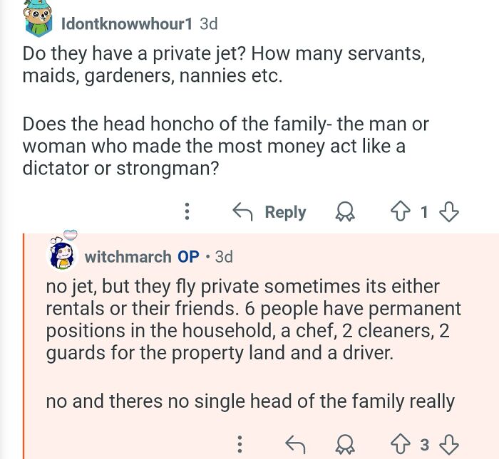 Chat exchange about working for billionaires, discussing private jets, household staff, and family leadership dynamics.