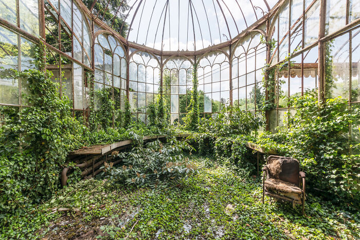 Abandoned greenhouse interior overgrown with lush greenery and vines, showcasing a secret garden reclaimed by nature.