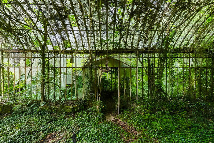 Abandoned greenhouse overtaken by dense vines and greenery creating a secret garden atmosphere with natural light filtering through.