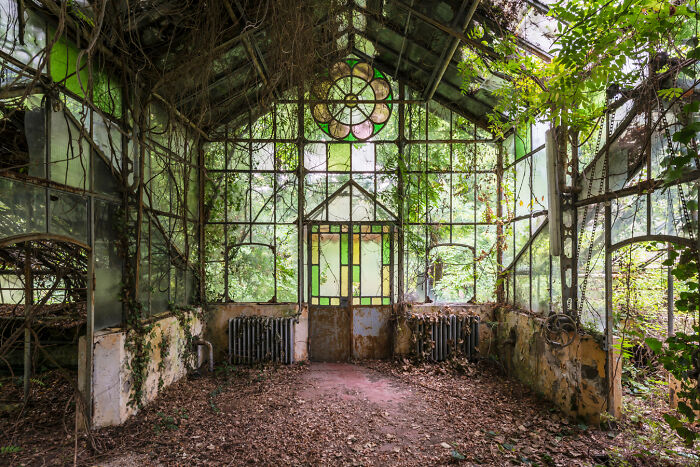 Abandoned greenhouse interior overgrown with plants and leaves, showcasing a secret garden filled with natural decay and light.