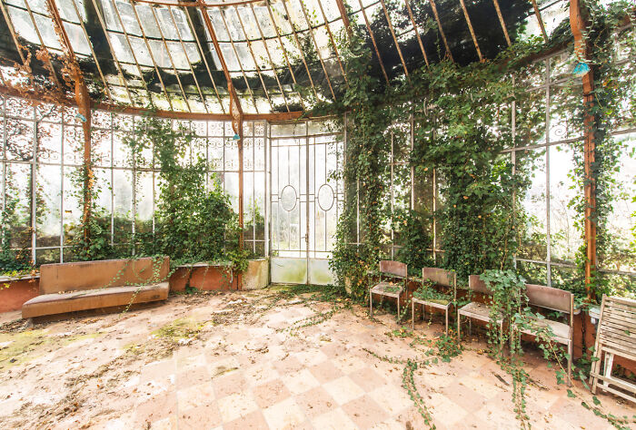 Abandoned greenhouse interior with overgrown vines and empty chairs, capturing the secret gardens theme.