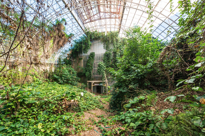 Abandoned greenhouse overgrown with lush green plants and vines inside a large glass structure resembling secret gardens.