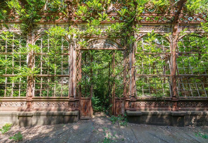 Rusty abandoned greenhouse framed by dense green vines revealing a secret garden hidden behind glass walls.