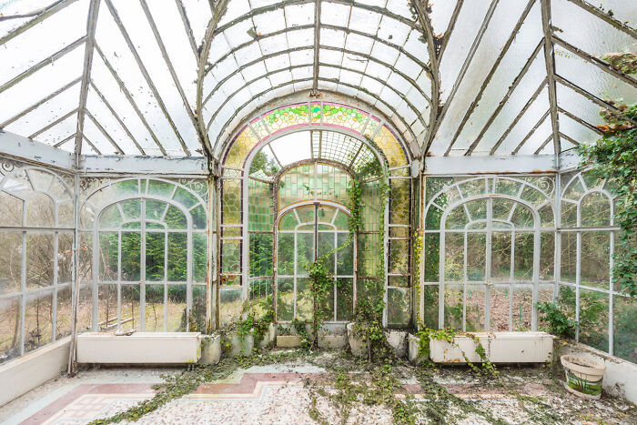 Abandoned greenhouse interior with overgrown plants and stained glass windows in a secret garden setting.