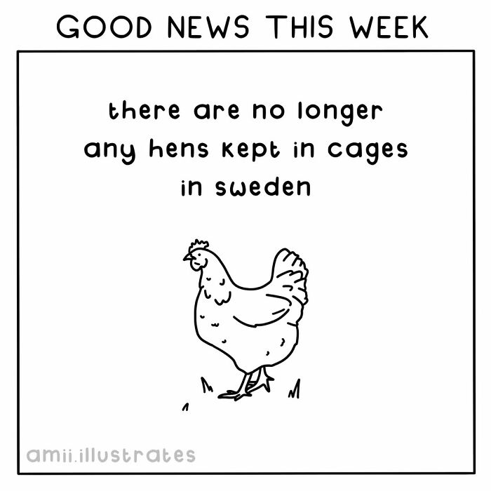 Good news this week with a drawing of a hen representing positive things that happened in the world this year.