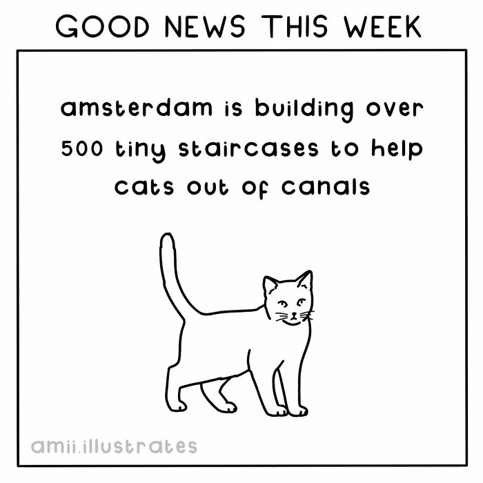 Positive things happening in the world this year include Amsterdam building tiny staircases to help cats out of canals.