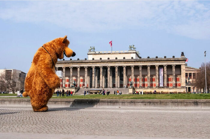 Person in a bear costume captured in an entertaining street photograph showcasing perfect timing in an urban setting.