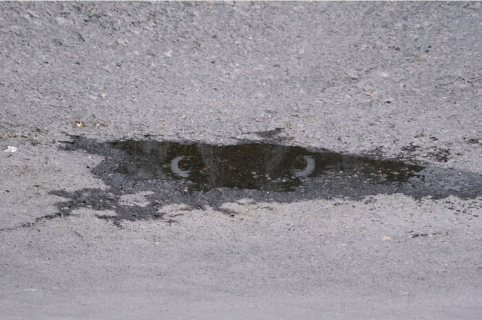 Puddle on street reflecting eyes, creating an entertaining street photograph showing perfect timing and unique perspective.