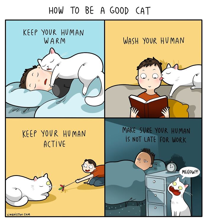 Comic panel showing a cat keeping its human warm, active, clean, and on time in a fun relatable cat owner comic.