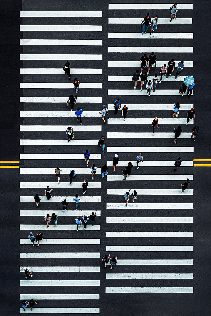 Overhead view of people crossing wide zebra-striped crosswalks showing urban minimalism with strong contrast and clean lines