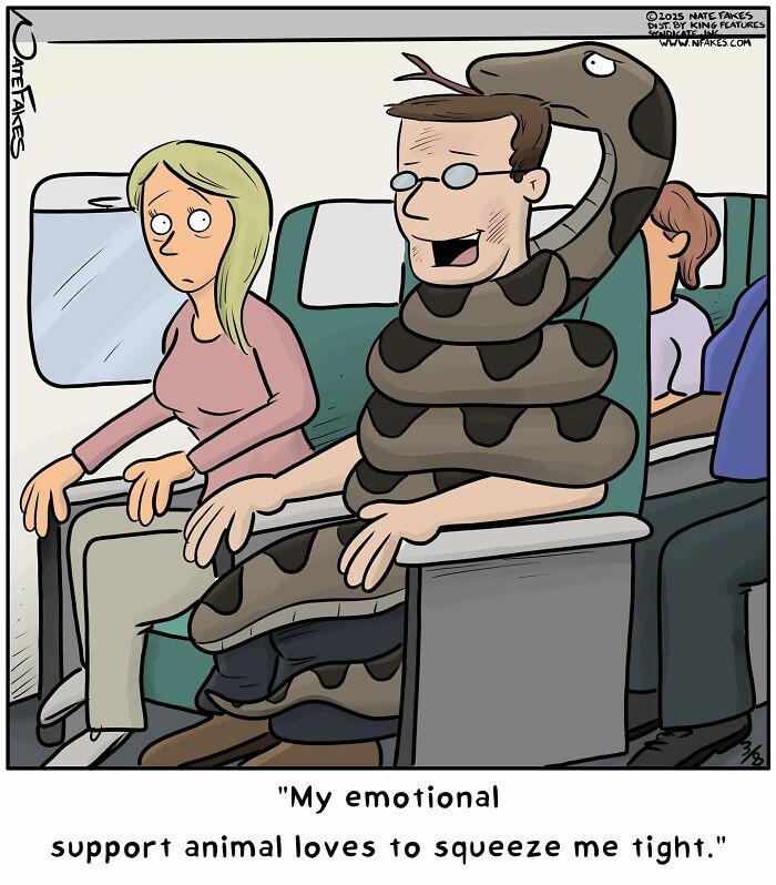 Man on airplane wrapped tightly by a large snake, a funny single-panel comic capturing life’s quirks.