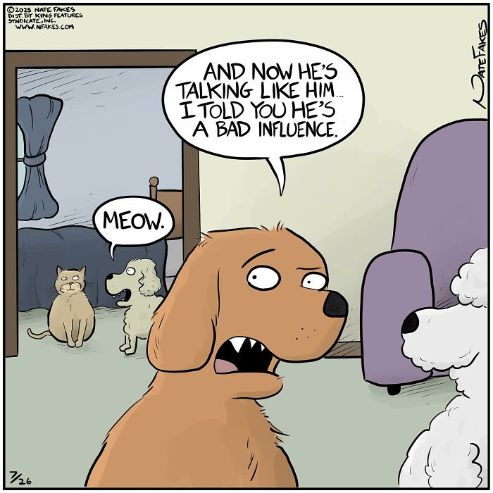 Funny single-panel comic showing a dog surprised as another dog mimics a cat saying meow, capturing life’s quirks.