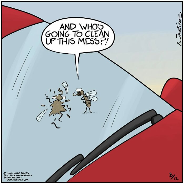 Funny single-panel comic showing two flies arguing on a car windshield about cleaning a messy splatter.