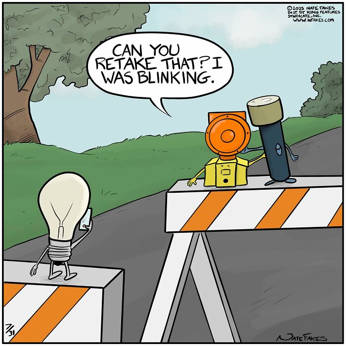 Single-panel comic showing a light bulb asking a construction light to retake a photo for a funny life quirk moment.