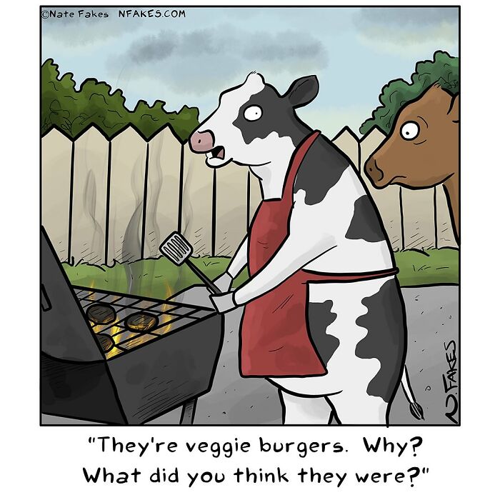 Cow wearing an apron grilling veggie burgers while another cow looks on in a funny single-panel comic capturing life’s quirks.