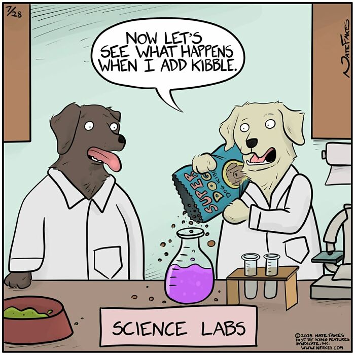 Two dogs in lab coats in a science lab, one adding dog kibble to a flask in a funny single-panel comic.