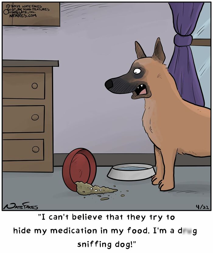 Funny single-panel comic showing a dog suspicious of hidden medication in its food capturing life’s quirks.