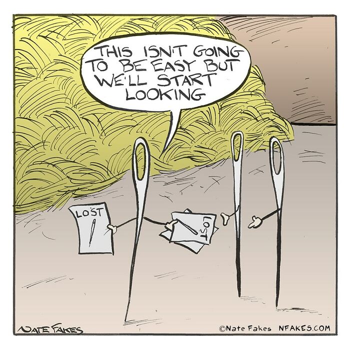 Funny single-panel comic showing needles holding lost posters, humorously planning to find something in a haystack.