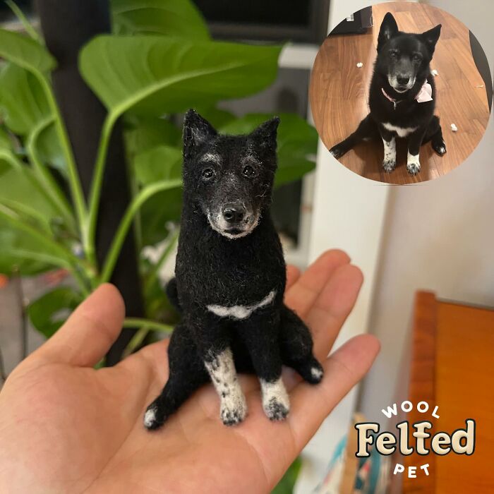 Hand holding a realistic wool felt pet resembling a black and white dog, with a photo of the real dog for comparison.