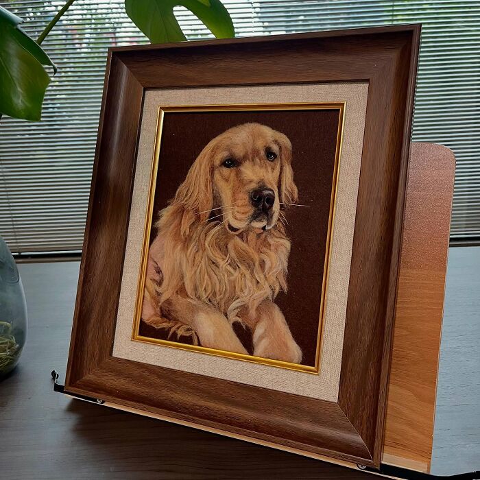 Framed wool felt pet portrait of a golden retriever, showcasing highly realistic wool felt pet artistry.