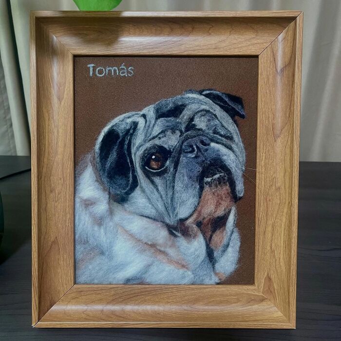 Framed wool felt pet portrait of a pug, showcasing realistic wool felt pets with detailed fur and expression.