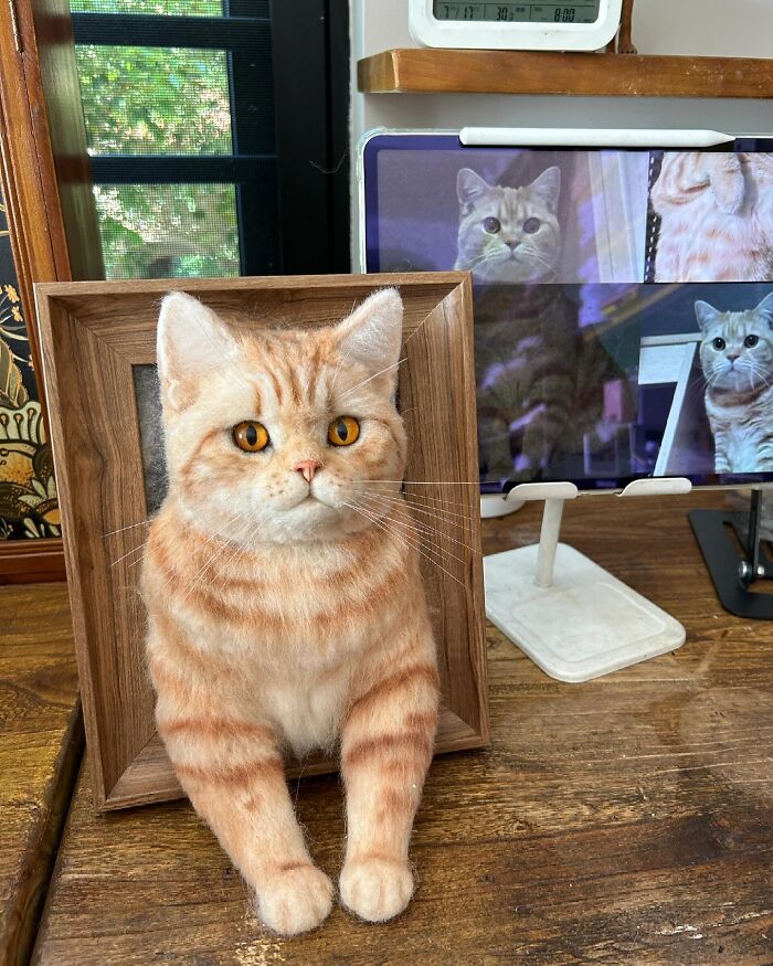 Realistic wool felt pet cat sitting in a wooden frame with a digital image of the cat in the background on a tablet.