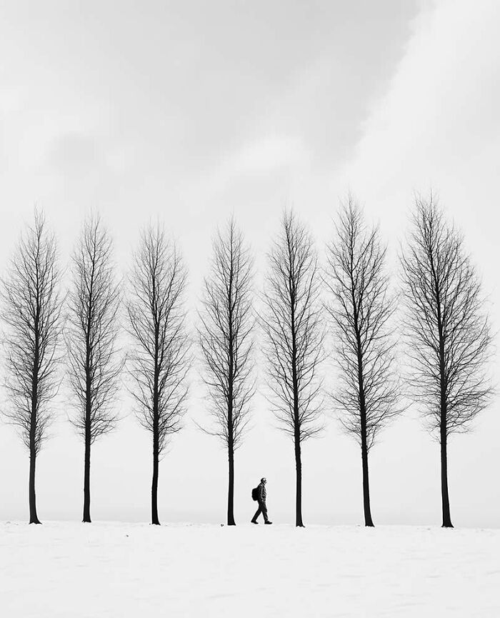Minimalist black and white photo of a person walking among tall, leafless trees, showcasing stunning photos from around the world.