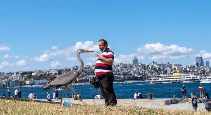 Man feeding a large bird by the waterfront, showcasing stunning photos from around the world with cityscape in the background.