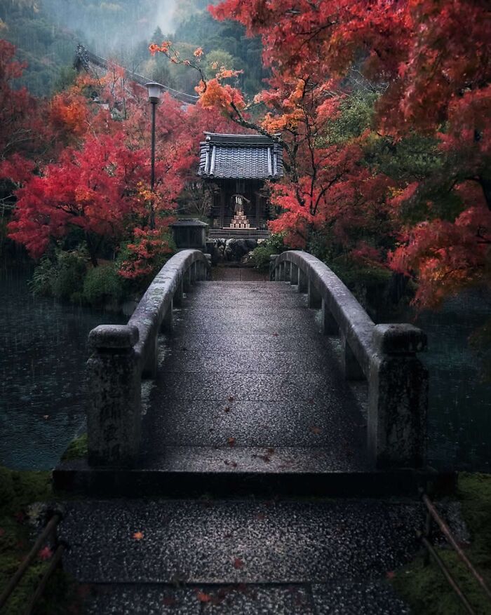 Stone bridge leading to a small shrine surrounded by vibrant autumn trees in a stunning photo from around the world.