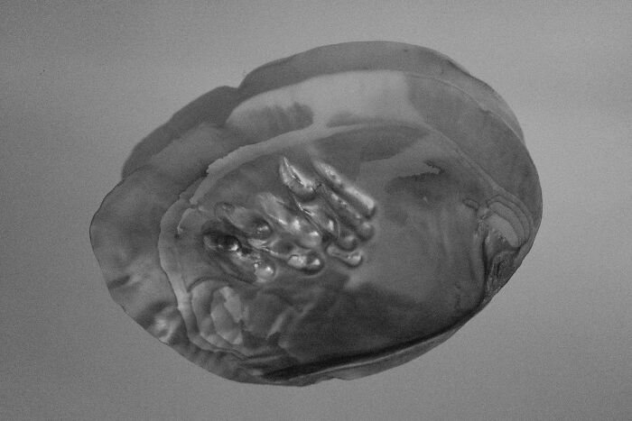 Through Max ISO, I Captured The Fading Mind Of My Father Before He Passed