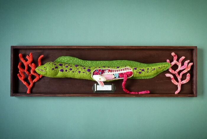 Green felted eel artwork with visible internal organs and red and pink felted coral on each side in a wooden frame.