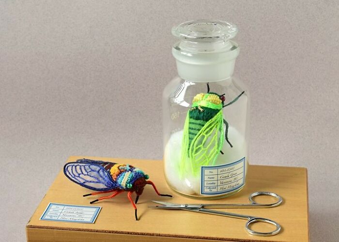 Felted artworks of colorful insects displayed with scientific tools and a glass jar on a wooden platform.
