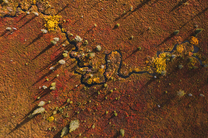 Aerial view of colorful autumn landscape in the Far North featuring winding river and vibrant foliage in red and yellow hues.