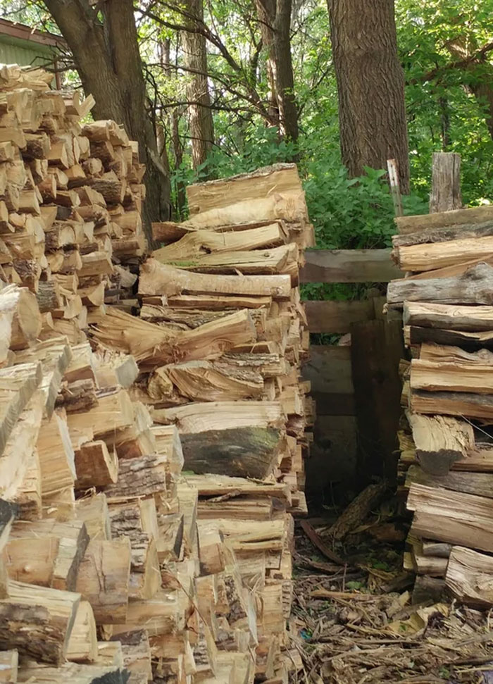 Cat camouflaged among stacked firewood in a natural outdoor setting blending seamlessly into the background.