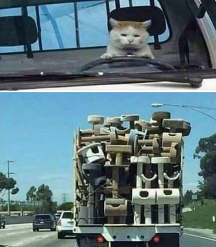Cat sitting behind steering wheel of a car and a truck loaded with multiple stacked cat trees on a highway, adorable animal moments.