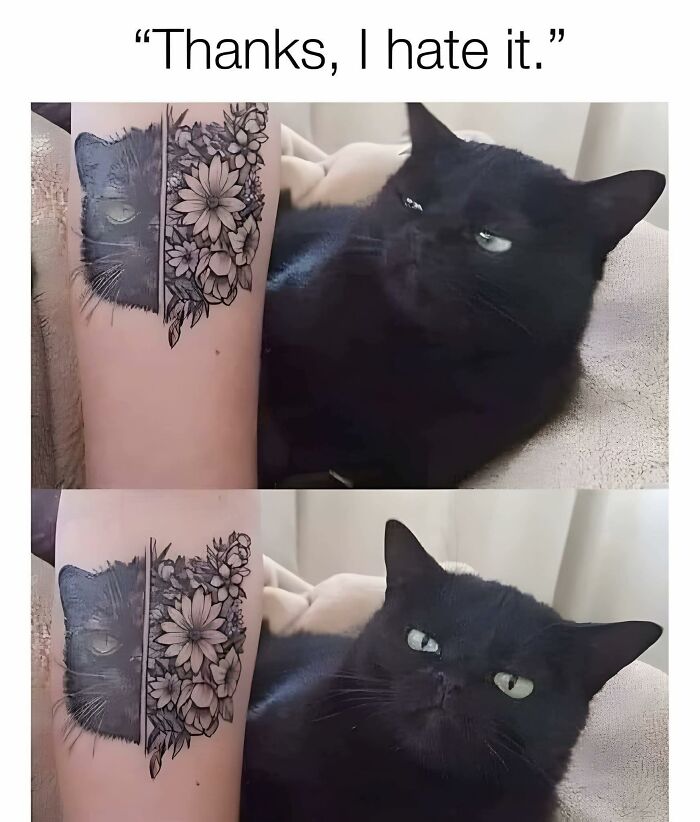 Black cat with a tattoo of its face and flowers on a person's arm, showcasing adorable animal moments shared online.