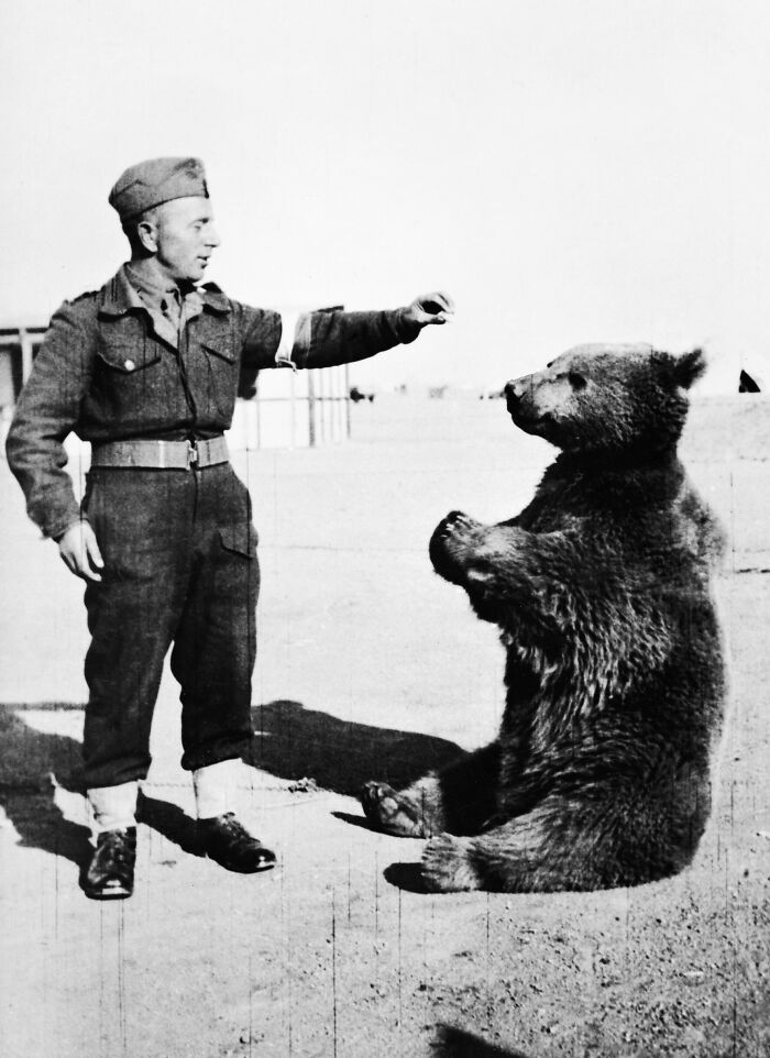 Black and white image of a soldier interacting with a sitting bear, showcasing bizarre real life moments beyond fiction.