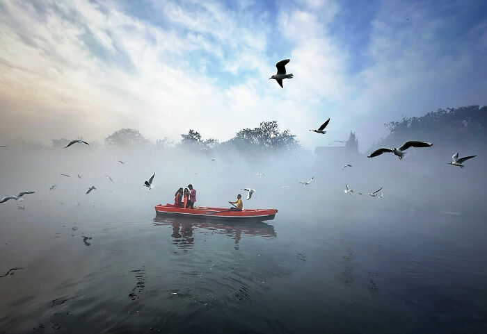A red boat with people on a foggy Istanbul river surrounded by flying seagulls in everyday life candid moments.