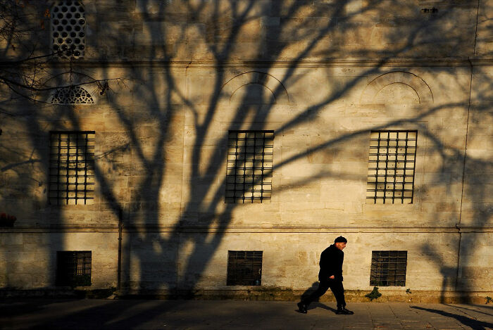 Person walking past a wall in Istanbul with large tree shadows, capturing candid moments of everyday life in the city.
