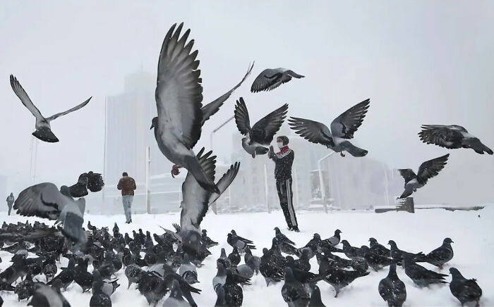 Person feeding pigeons on a snowy day, capturing candid moments of everyday life in Istanbul’s urban environment.