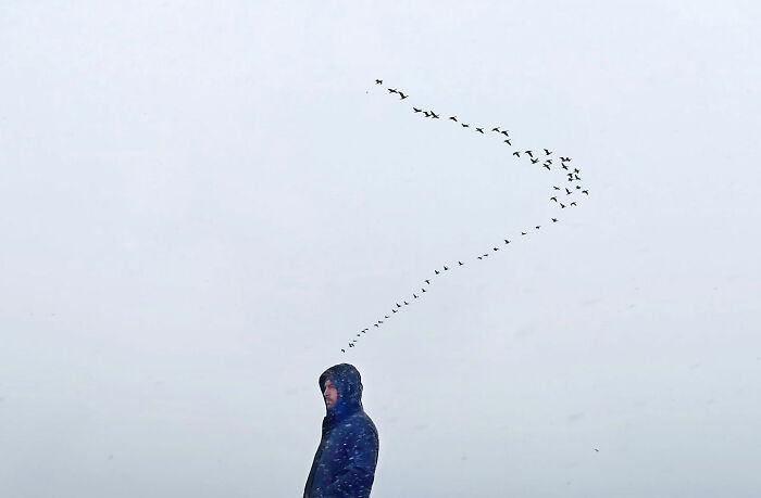 Man in a blue jacket standing under a cloudy sky with birds flying in formation, capturing candid moments of Istanbul life.