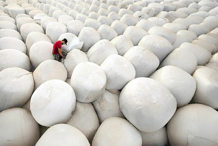 Man in red shirt inspecting large wrapped hay bales in a field, capturing candid moments of everyday life in Istanbul.