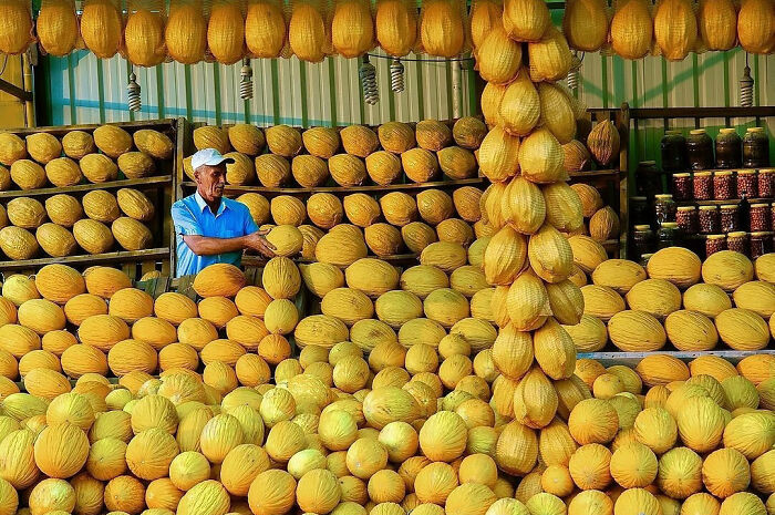 A man arranging yellow melons at a vibrant market stall, capturing everyday life in Istanbul with candid moments.