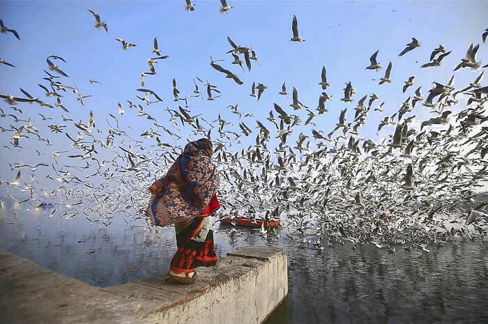 A woman feeding seagulls by the water in a candid moment of everyday life in Istanbul.