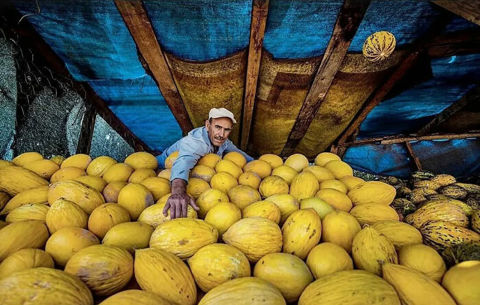 Man picking melons in a market stall filled with yellow fruits, showcasing everyday life in Istanbul streets.