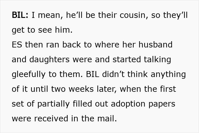 Text excerpt describing a sister mistakenly sending adoption papers after a babysitting offer confusion.
