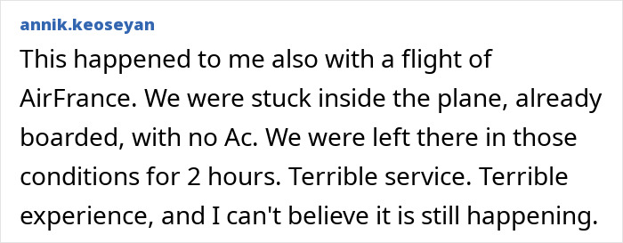 Comment describing chaos on Paris flight as family with infant trapped in dangerous heat and suffering poor conditions inside plane.