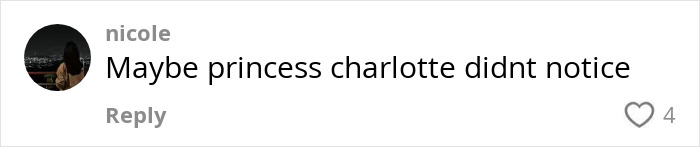 Comment on a social media post mentioning Princess Charlotte&rsquo;s curtsy mistake in response to Camilla&rsquo;s cold gesture toward Kate.