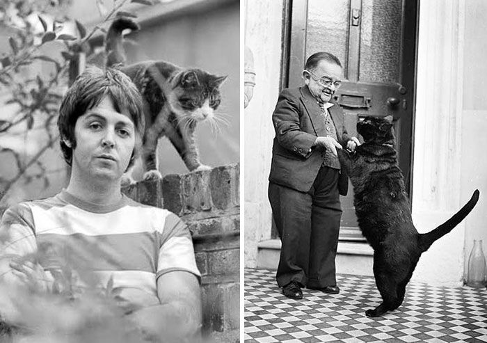 50 Vintage Cat Photos That Are Internet Gold From Before The Internet