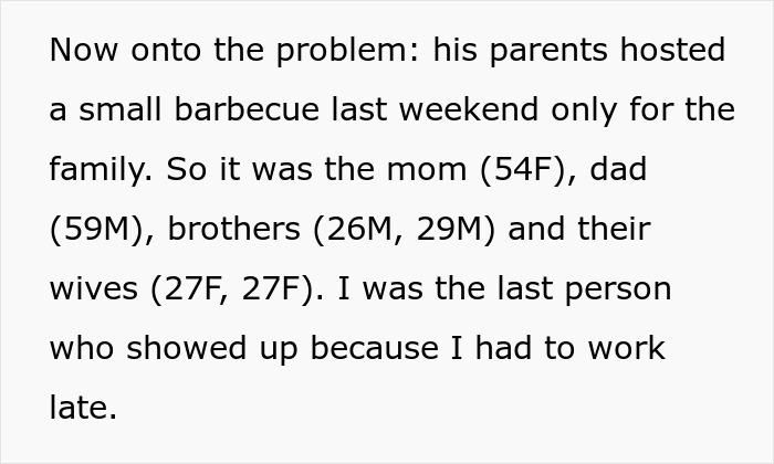 Text excerpt about future MIL brands bride-to-be stupid, describing family barbecue gathering and late arrival due to work.